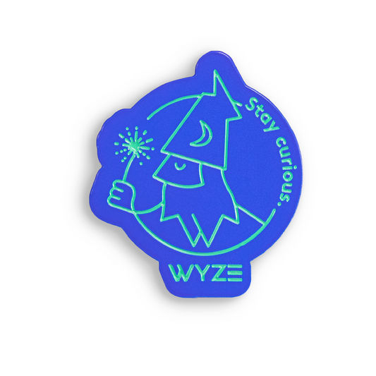 "Stay Curious" Wizard Pin(Flash Sale)