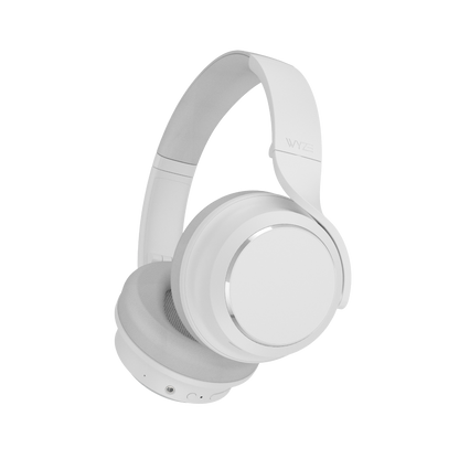 Wyze Noise-Cancelling Headphones